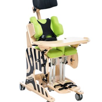 Silla de actividades Zebra