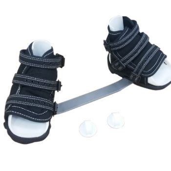 Ferula Ponsetti Iowa