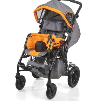 Silla de ruedas Buggy
